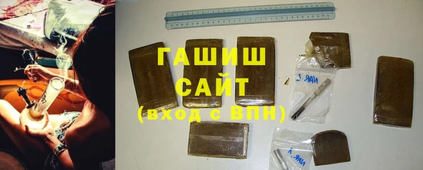 индика Алзамай