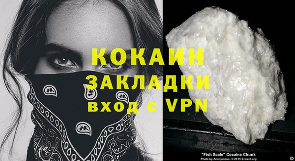 индика Алзамай