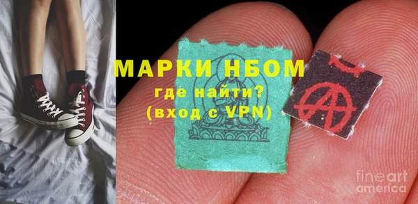 индика Алзамай